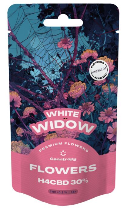 Canntropy H4CBD žiedai White Widow 30% – Klasikinė kokybė