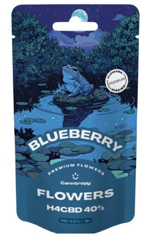 Canntropy H4CBD žiedai „Mėlynė“ (Blueberry) 40% – Premium kokybė