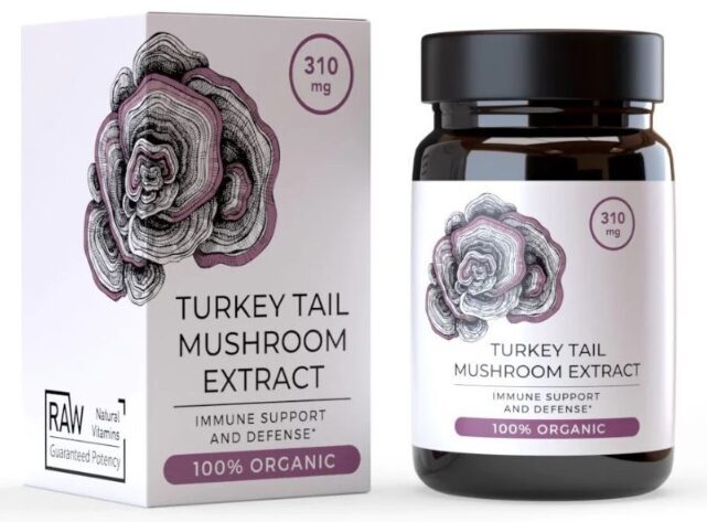 Endoca įvairiaspalvės kempės (Turkey Tail) ekstraktas, 30 kapsulių