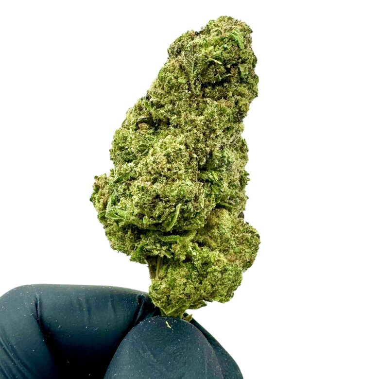 Oreo Cookies Premium CBD Hamp Blomster