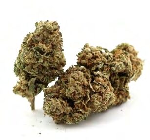 STRAWBERRY DIESEL – hampeblomster