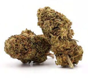 POWER PLANT – Cannabisblüten