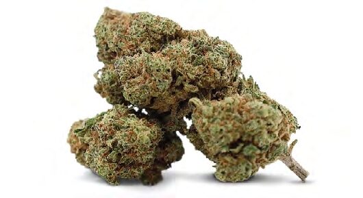 LIMONCELLO – Hanfblüten