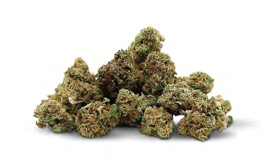 CBD Žiedai WHITE WIDOW – Legendinis Skonis ir Aukščiausia Kokybė