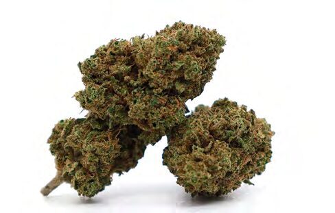DOUBLE CINNAMON – Hanfblüten