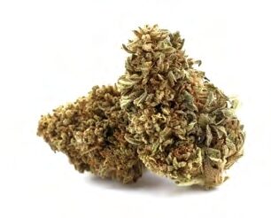 CHEESE- cannabisblommor