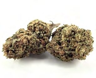 OG KUSH - Hanfblüten