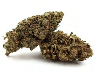 VANILLA KUSH - kanapių žiedai