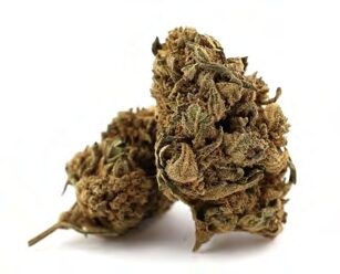 HAWAIIAN SKUNK - kanapių žiedai