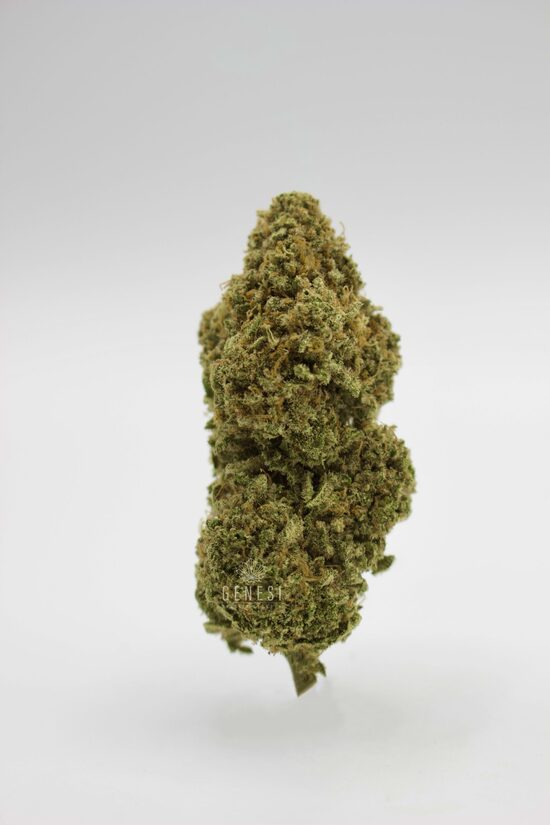 Kanepiõied CANNATONIC 2.4g