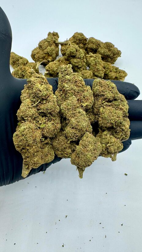 CBD Hanfblüten DO SI DOS – Tiefe Entspannung und Geschmacksharmonie