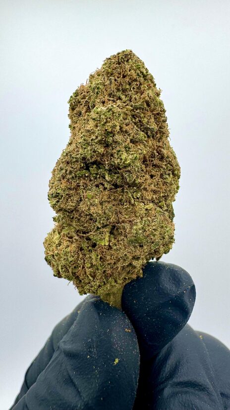DO SI DOS CBD buds 0,5 g