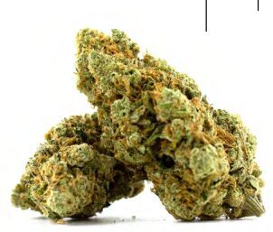 AMNESIA HAZE – Premium kanapių žiedai (Aukščiausia kokybė)