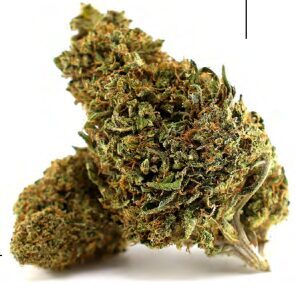 CBD Kanapių Žiedai „TANGIE“ – Premium Kokybė