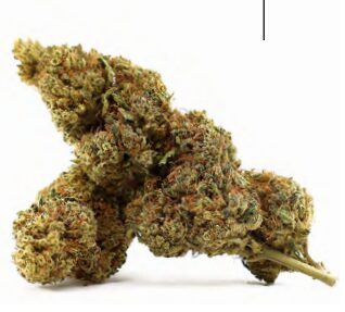 CBD Kanapių Žiedai „Limoncello“ – Premium Kokybė