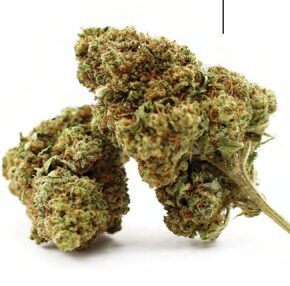 CBD Kanapių Žiedai „CHERRY BOMB“ – Premium Kokybė