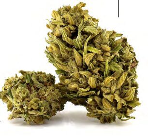 MERCURY OG – Premium CBD Kanapių Žiedai