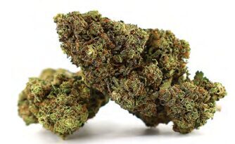 CBD Kanapių Žiedai „Fragola“ – Premium Kokybė