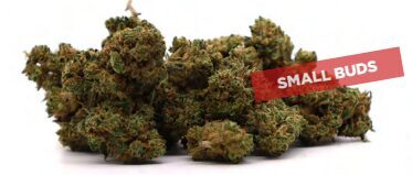 CBD Žiedai „Double Cinnamon“ (Small Buds) – Premium Kokybė