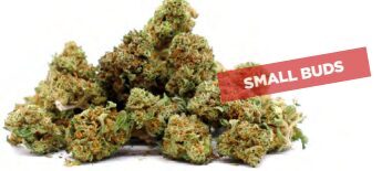 Strawberry Banana Small Buds – Premium CBD žiedai