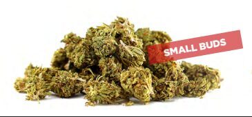 Chemdawg Small Buds – Premium CBD Kanapių Žiedai