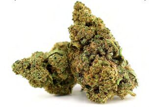 CBD Kanapių Žiedai „Bubblegum Gelato“ – Premium Indoor