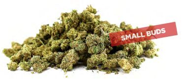 Bubblegum Gelato Small Buds – Premium CBD žiedai