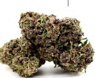 CBD Kanapių Žiedai „Aladin Purple Kush“ – Premium Kokybė