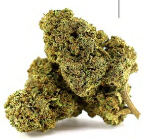 CBD Kanapių Žiedai „Sugar Candy“ – Premium Desertinė Rūšis