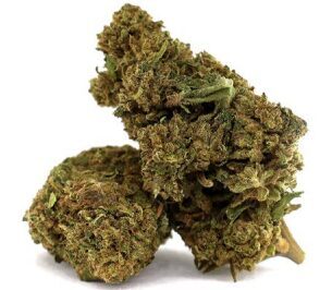 Premium CBD Kanapių Žiedai „White Rhino“