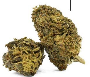 CBD Kanapių Žiedai „Special Sauce“ – Premium Kokybė