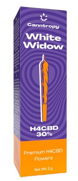 Canntropy H4CBD preroll “White Widow” – 30 % H4CBD, 1 g