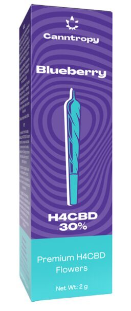 Canntropy H4CBD preroll “Blueberry” – 30 % H4CBD, 1 g