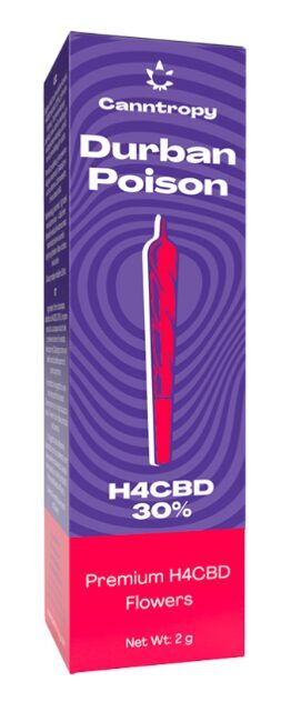 Canntropy H4CBD “Durban Poison” preroll – 30 % H4CBD, 1 g