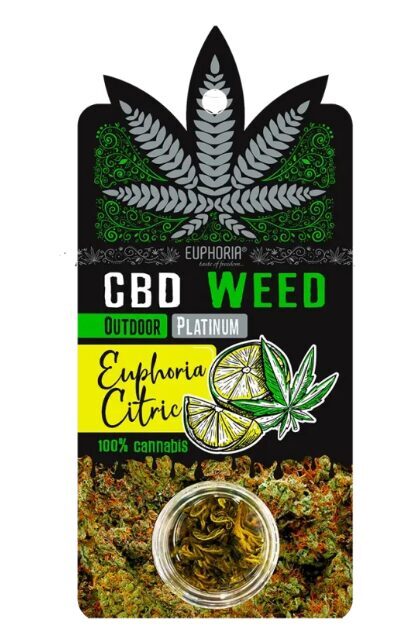 Euphoria CBD-hampunkukat “Platinum Euphoria Citric” – 0,7 g