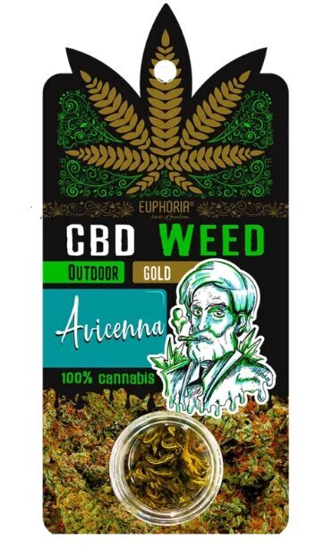 Euphoria CBD-hampunkukat “Gold Avicenna Outdoor” – 0,7 g