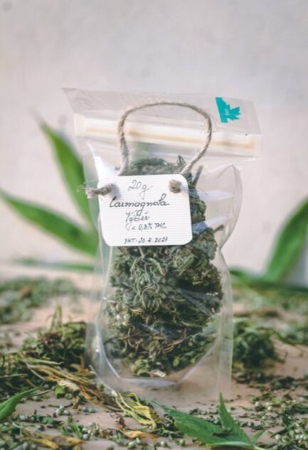 Dobré Konopí Carmagnola hamppuyrtti CBD:llä – valitut kukat, 150 g