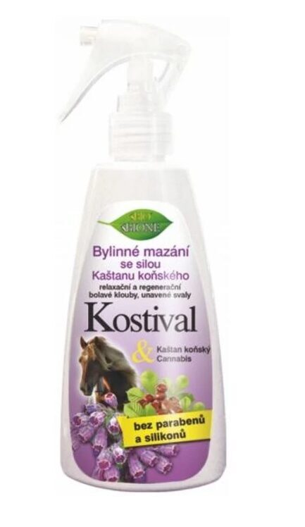 Bione Beinwell-Kräutersalbe mit Rosskastanie, 260 ml