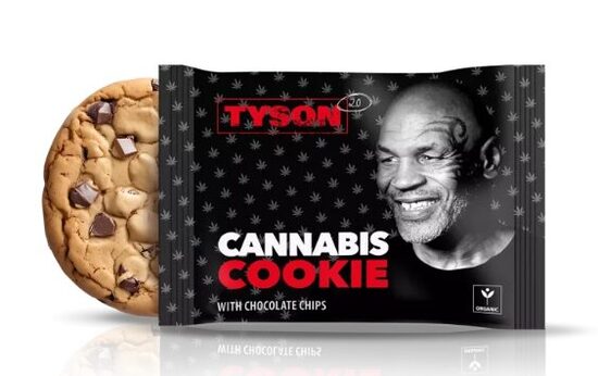 Tyson 2.0 – Hanfsamen-Cookie mit Schokoladenstückchen, 50 g