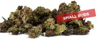 ALADIN PURPLE KUSH – Premium CBD Hanfblüten (Small Buds)