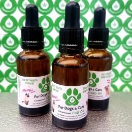 CBD Aliejus Augintiniams – Natūrali Ramybė Jūsų Keturkojui