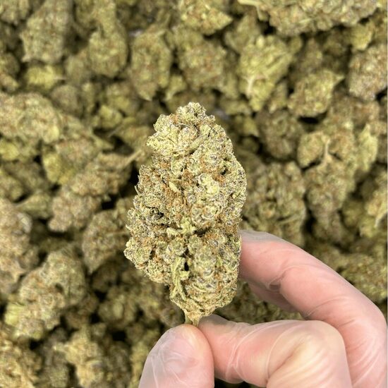 Mimosa Hanfblüten – leuchtende und aromatische Premium-CBD-Blüten