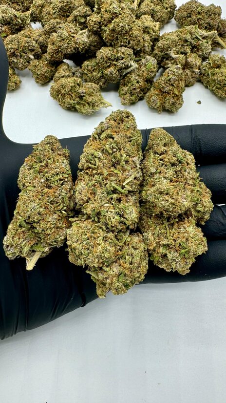 Yuzu CBD-Blüten – Zitrusfrische Entspannung in Premium-Hanfqualität