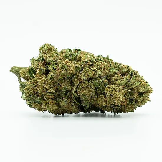CBD Greenhouse “Northern Light” 11 % kanepiõied