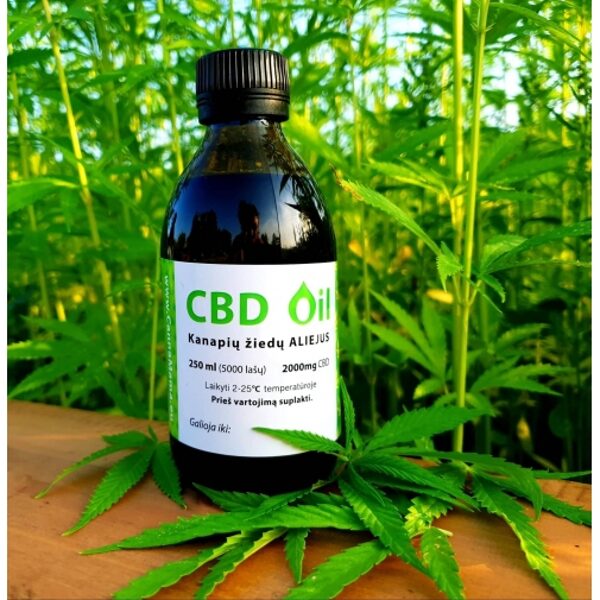 CannaMama Full Spectrum CBD Oil 250ml (1000mg) DIESEL TONIC