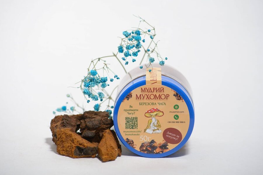 Poudre de Chaga (champignon de bouleau noir). Complément alimentaire 50g