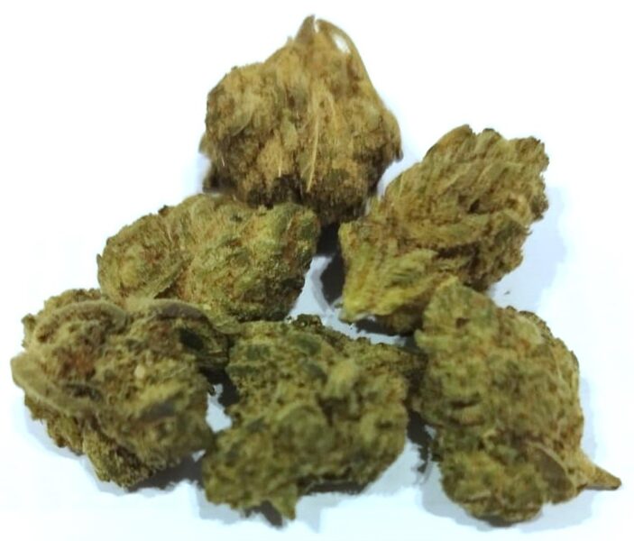 CBD buds Orangello